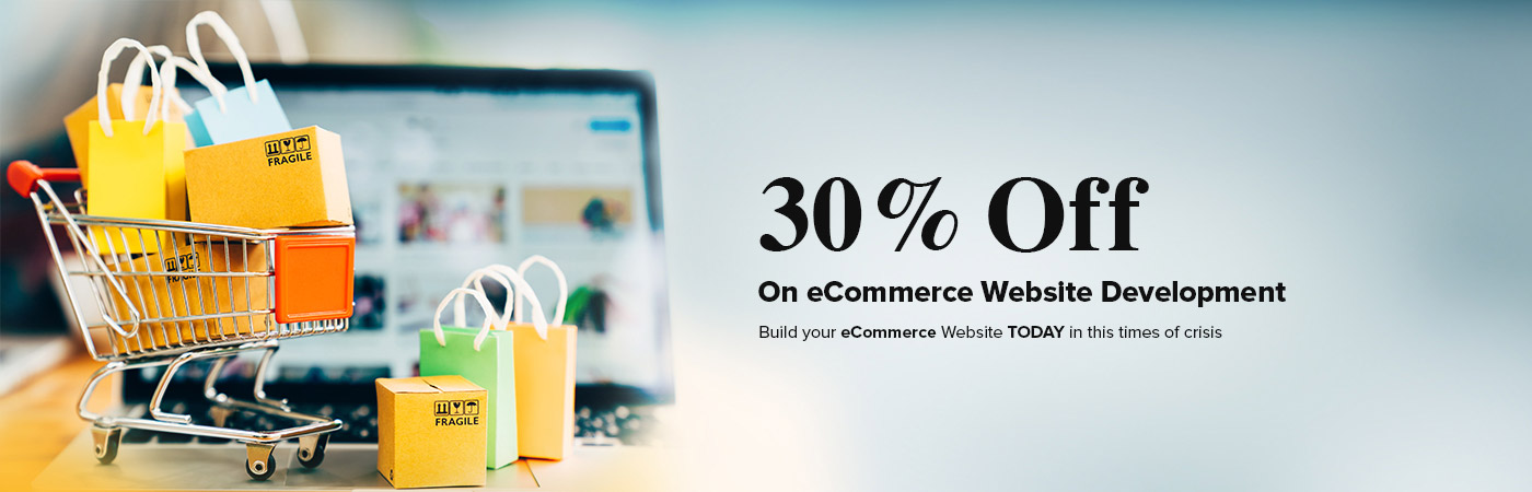 ecommerce-website-development-offer